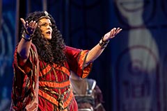 Sonja &Scaron;ari&cacute; Kosovac as Aida